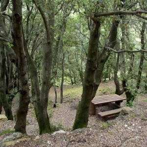 Parco Comunale Perd'e Pibera