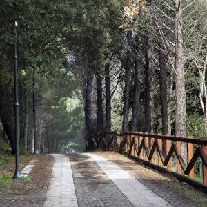 Parco Comunale Perd'e Pibera